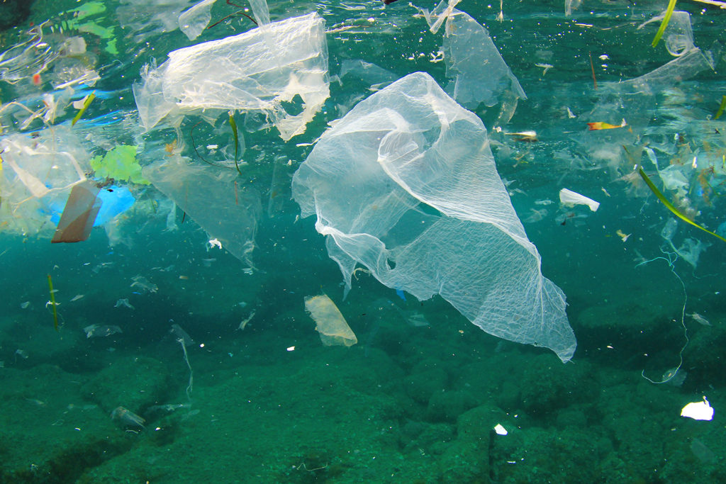 Greenpeace: Европа совершила прорыв в борьбе с пластиком, но теперь должна защитить его в битве с производителями